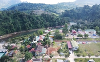 Thoát nghèo nhờ sinh kế dưới tán rừng Trường Sơn