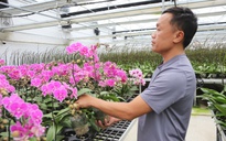 Người dân vùng ven biển Hà Tĩnh giảm nghèo bền vững