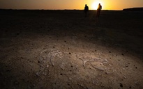 170 điểm chứa xương "nàng tiên cá" lộ ra giữa sa mạc Trung Đông