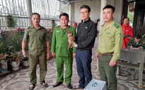 Hai "vị khách lạ" bất ngờ xuất hiện giữa khu dân cư ở Quảng Trị