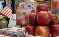 500 container táo Mỹ sắp đổ bộ chợ Tết Việt