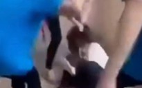 Xôn xao video nữ sinh lớp 8 bị đánh hội đồng trong trường học