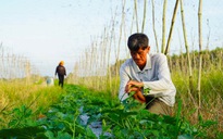 Giảm nghèo bền vững từ những chính sách thiết thực