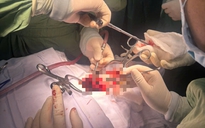 Liệt tứ chi vì một bất cẩn nhỏ