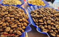 Giá cà phê hôm nay 20-12: Giảm phiên thứ 7, tiêu thụ cà phê tăng kỷ lục