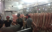 Giá heo hơi hôm nay, 21-12: Heo mảng tại chợ đầu mối lập đỉnh mới