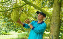 Tháo gỡ "điểm nghẽn" liên kết sản xuất - tiêu thụ nông sản