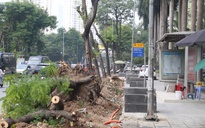 Hà Nội di dời cây xanh, xén vỉa hè để giảm ùn tắc