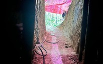 Giá vàng tăng cao, nhóm người vào cánh rừng ở Đà Nẵng "tìm vận may"