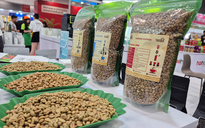 "Cân não" trước vụ cà phê mới