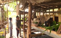 Kết quả ấn tượng của Cà Mau trong công tác giảm nghèo bền vững