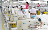 Công ty Panko Vina ngưng hoạt động: Chiều  nay, đoàn liên ngành làm việc với doanh nghiệp