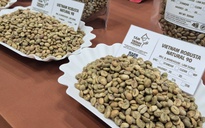 Giá cà phê hôm nay 30-12: Tiếp tục đà tăng