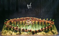 Khổng Tước – vũ kịch châu Á làm "rung chuyển cảm xúc" sắp diễn tại Việt Nam