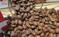Giá cà phê hôm nay 5-12: Cắt mạch giảm và tin tốt ở thị trường số 1