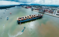 TPHCM chuẩn bị thu phí hạ tầng cảng biển tại Bình Dương và Bà Rịa - Vũng Tàu