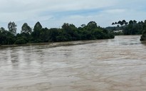 Mực nước sông La Ngà và vùng hạ lưu sông Đồng Nai khá cao, cảnh báo ngập lụt, sạt lở bờ sông
