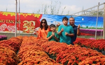 Nhiều tuyến du lịch trải nghiệm phục vụ du khách đến Festival Hoa - Kiểng Sa Đéc