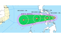 Áp thấp nhiệt đới giật cấp 8 sắp vào Biển Đông