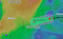 Áp thấp nhiệt đới suy yếu, liệu có còn thêm bão, áp thấp nhiệt đới trong tháng 12 này?