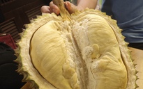 Giá sầu riêng trái vụ bất ngờ rớt mạnh