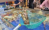 Xuất khẩu tôm lập kỷ lục