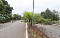 Độc lạ Đà Nẵng: Đường "cong mềm mại" vì ngôi nhà án ngữ ngay giữa đường