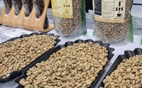 Giá cà phê hôm nay 9-12: Lao dốc tiếp
