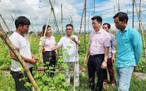 Giảm nghèo cần tạo sinh kế bền vững