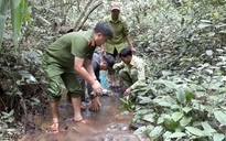 CLIP: Thả rùa vàng và nhiều động vật quý hiếm về rừng