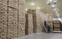 Nhật Bản nỗ lực hạ giá gạo