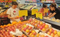 Giật mình với giá táo nhập khẩu, chỉ còn 20.000 - 30.000 đồng/kg