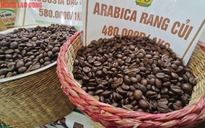 Giá cà phê hôm nay 6-2: Robusta tăng tiếp, Arabica lập kỷ lục mới