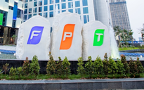 Ai đang sở hữu nhiều cổ phiếu nhất tại FPT?