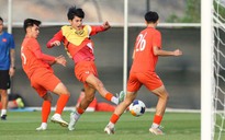 VFF đẩy mạnh hợp tác quốc tế