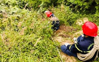 Đà Nẵng: Tìm thấy du khách nước ngoài đã tử vong dưới vực sâu bán đảo Sơn Trà