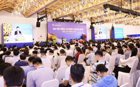 Ngày VN-Index đỏ rực, cổ phiếu Sacombank tăng sốc sau thông tin sắp chia cổ tức