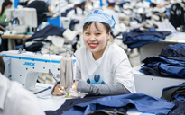 Nhiều đột phá trong dự thảo Luật Việc làm