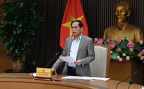 Họp về mức thuế của Mỹ, Phó Thủ tướng yêu cầu kiểm soát chặt chẽ xuất xứ hàng hoá