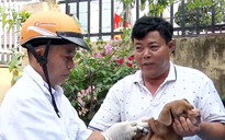 Bé trai 2 tuổi ở Đồng Nai bị chó nghi dại cắn vào đầu 