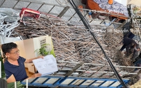 Nha Trang: Vứt tài sản của dân ra bãi rác sau khi cưỡng chế