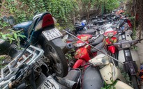 Đề xuất bán ngay tang vật, phương tiện vi phạm hành chính nếu "vô chủ"