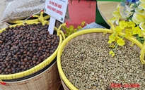 Giá cà phê hôm nay 17-5: Giảm mạnh tới 3 con số