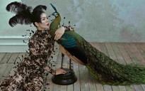 Bộ ảnh nhiều ẩn ý của Lệ Quyên