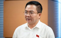 Từ vụ khởi tố hoa hậu Thùy Tiên: Đại biểu Quốc hội lên tiếng