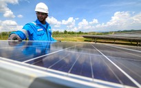 Cuộc đua đầu tư xanh vào ASEAN