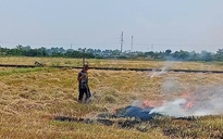 Ngăn chặn đốt rơm rạ trên đồng