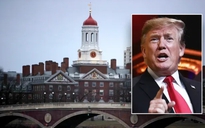 Tổng thống Donald Trump muốn Đại học Harvard làm rõ một chuyện
