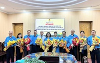 Điều kiện hưởng lương hưu tối đa khi nghỉ hưu trước tuổi