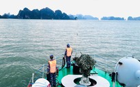Ngư dân Quảng Bình rơi xuống biển mất tích, cách bờ 80 hải lý